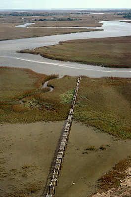 View from top over salt mashes towards East Beach, showing the old dock. Location: NC, Brunswick County, Cape Fear Area, Bald Head Island, Bald Head I. Lighthouse (Old Baldy). [ref. to #233.037]