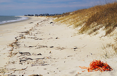 View west from beach dune in front of Captain Charlies Station. Location: NC, Brunswick County, Cape Fear Area, Bald Head Island, South Beach. [ref. to #233.127]