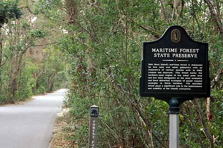 Federal Road as it enters the Maritime Forest Preserve from the west, showing the historical plaque. Location: NC, Brunswick County, Cape Fear Area, Bald Head Island, State Maritime Forest Preserve. [ref. to #233.156]