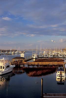 Marinas line the waterway at the bridge between Wrightsville Beach & the mainland. Location: NC, New Hanover County, Wilimington Area, Wrightsville Beach, Intracoastal Waterway. [ref. to #233.181]