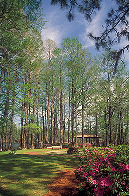 NC: New Hanover County, Cape Fear River Area, Wilmington, Greenfield Park & Gardens, Fountain & gazebo by Greenfield Lake. [Ask for #233.280.]