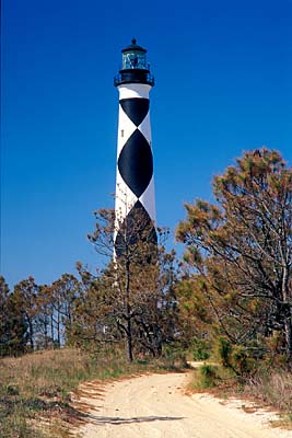 Lighthouse viewed from dirt road in pine forest. Location: NC, Carteret County, Cape Lookout Nat. Seashore, Cape Lookout, Cape Lookout Lighthouse. [ref. to #233.486]