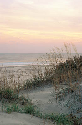 NC: Hyde County, Hatteras National Seashore, Ocracoke Island, Ocracoke Island Beach, Sunset view over sand dunes on a stormy evening [Ask for #233.B73.]