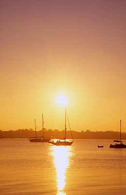 St Augustine Harbor on the Matanzas River, from the Historic District; sun rising over sailing yachts. Location: FL, St. Johns County, St. Augustine, St. Augustine Harbor. [ref. to #234.007]