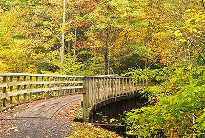 Railroad trestle curves over Laurel Creek, in an autumn forest. Location: VA, Washington County, Mount Rogers Nat. Rec. Area, Whitetop Laurel Branch Valley, Virginia Creeper Railroad Trail. [ref. to #236.012]