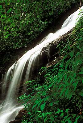 Cascades of Fall Creek. Detail of the lower falls. Location: NC, Wilkes County, The Blue Ridge Parkway, Glendale Springs Section, Cascades Picnic Area. [ref. to #236.045]