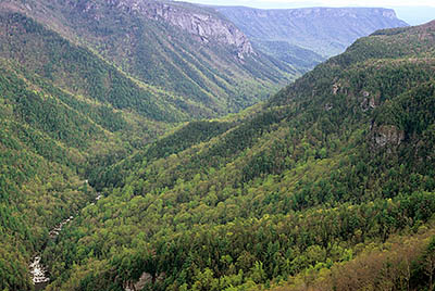 NC: Burke County, Pisgah National Forest, Linville Gorge Wilderness, Wiseman's View. Spring view down the gorge (south). [Ask for #237.319.]