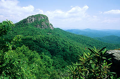 NC: Burke County, Pisgah National Forest, Linville Gorge Wilderness, The Chimneys, View of Tablerock Mountain, from cliffs lining the Chimneys Trail. [Ask for #237.405.]