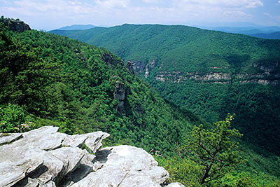 NC: Burke County, Pisgah National Forest, Linville Gorge Wilderness, The Chimneys, Summer view over Linville Gorge and The Chimneys, from cliffs lining the east rim of the gorge. [Ask for #237.409.]