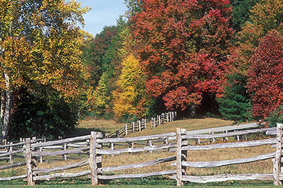 Split rail fences cut through the meadows lined by forests in fall colors. Location: NC, Avery County, The Blue Ridge Parkway, Linville River Picnic Area, MP 317, Linville River Meadows. [ref. to #237.679]