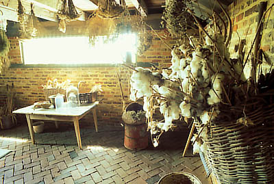 Brick basement in ante-bellum plantation house, used for drying herbs. Cotton in basket, rt frgd. Location: NC, Duplin County, Kenansville, Liberty Hall. [ref. to #238.135]