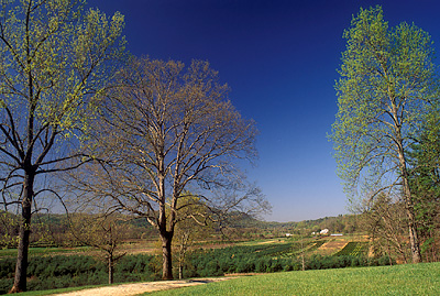 NC: Caldwell County, Lenoir Area, Yadkin Valley Community, View across the Yadkin River Valley, in spring. [Ask for #238.152.]