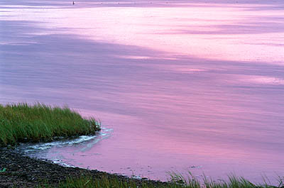 PE: Queens County, Anne's Land Area, Winter Bay, at Corran Ban Comm., Sunrise over the bay; sunrise colors reflected on the water. [Ask for #240.023.]