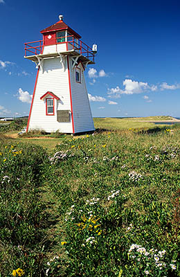 PE: Queens County, Anne's Land Area, Prince Edward Island National Park, Covehead Bay Lighthouse, viewed over fall wildflowers on sand dunes. [Ask for #240.061.]