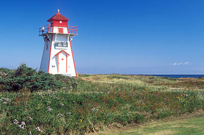 Prince Edward Island, Canada. Covehead Bay Lighthouse, viewed over fall wildflowers on sand dunes. Location: PE, Queens County, Anne's Land Area, Prince Edward Island National Park. [ref. to #240.063]