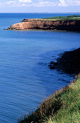 PE: Queens County, Anne's Land Area, Prince Edward Island National Park, Orby Head. View from the top of red sandstone cliffs [Ask for #240.092.]