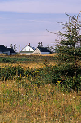 PE: Queens County, Anne's Land Area, Winter Bay, at Corran Ban Comm., Farm and barn, viewed across meadows with fall wildflowers. [Ask for #240.122.]