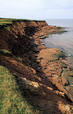 PE: Kings County, Bays & Dunes Area, Naufrage, Shipwreck Point; meadows above red sandstone sea cliffs [Ask for #240.145.]