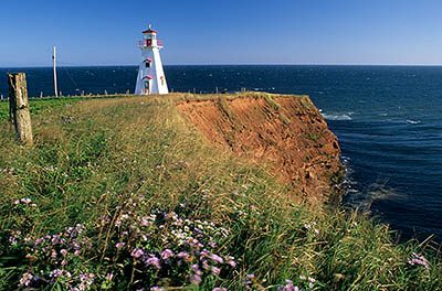 PE: Queens County, Anne's Land Area, Cape Tryon, Cape Tryon Lighthouse. In autumn meadows on a sea cliff; asters waving in the breeze. [Ask for #240.162.]