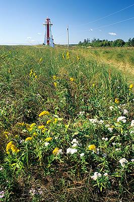 PE: Queens County, Anne's Land Area, New London Bay, New London Bay Lighthouse. Viewed over autumn wildflowers, waving in the breeze [Ask for #240.173.]