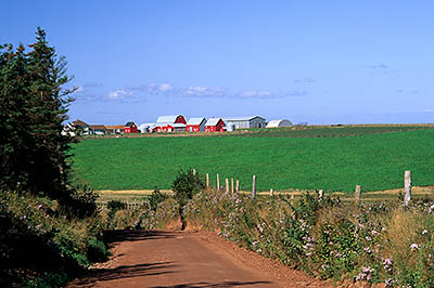 PE: Queens County, Anne's Land Area, Cape Tryon, Red clay road through green fields, with red farm in bkgd. [Ask for #240.190.]