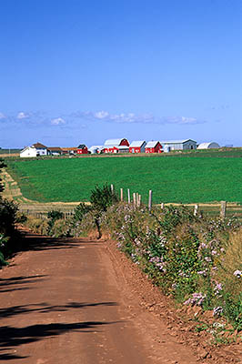 PE: Queens County, Anne's Land Area, Cape Tryon, Red clay road through green fields, with red farm in bkgd. [Ask for #240.191.]