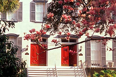 Historic townhouses with red front doors, viewed past pink dogwood in spring bloom. Location: GA, Chatham County, City of Savannah, Savannah Historic District, Wright Square District. [ref. to #241.127]