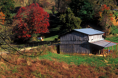 Barn by country lane. Location: NC, Avery County, The Blue Ridge Mountains, Tennessee Valley (Newland/Crossnore Area), Altamont Community. [ref. to #242.398]