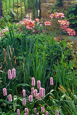 ENG: Thames & Chilterns Region, Oxfordshire, Upper Cherwell Valley, Banbury, Cropredy, The Manor Farm, a 15th C. yellow limestone manor. Detail of water garden by gate, in spring flowers. [Ask for #243.036.]