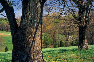 NC: Iredell County, Statesville Area, Bradfords Crossroads, Popes Farm, Pope dairy lands include this hill-top meadow [Ask for #244.025.]