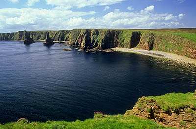 John 'o Groats area; clifftop view towards the Stacks of Duncansby. Location: UK, Scotland, Caithness District, Northern Coast. [ref. to #246.791]