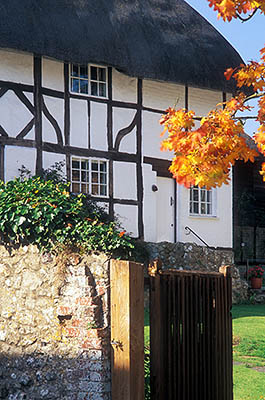 ENG: West Sussex , South Downs National Park, The Arun Valley, Amberley, Thatched half-timbered cottage framed by fall colors [Ask for #248.353.]