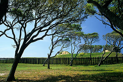 NC: New Hanover County, Wilimington Area, Carolina Beach Area, Fort Fisher State Recreation Area, Oaks frame the Civil War earthworks and restored fortifications [Ask for #249.455.]