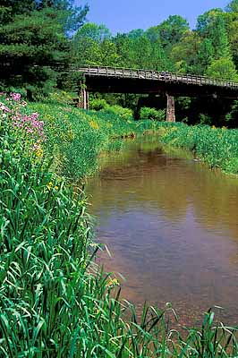 Bicycle path on old railroad trestle, viewed with spring flowers; cyclists look over the edge. Location: VA, Galax City, New River Valley, New River Trail State Park, Trestle over Chestnut Creek at Stockyard Road. [ref. to #251.218]