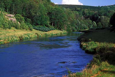 View of the river at Todd. Location: NC, Ashe County, New River Valley, South Fork of the New River, Todd. [ref. to #252.454]