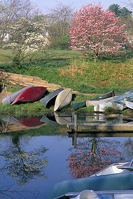 NC: Buncombe County, Asheville, Beaver Lake City Park, Canoes reflected in the lake surface, with dogwood and redbud in spring bloom [Ask for #254.050.]