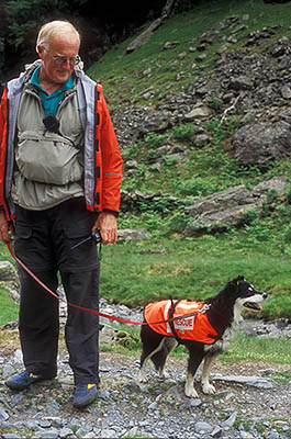 Search and Rescue Dogs Assoc. (Lake District) training session. Handler Mick Guy with search dog Mist. Location: ENG, Cumbria , The Lakes District National Park, Keswick-Borrowdale Area, Broadstack Gil in Borrowdale (NT). [ref. to #259.153]