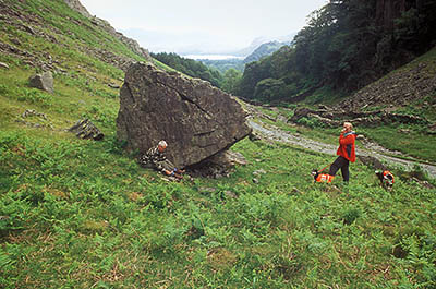 Search and Rescue Dogs Assoc. (Lake District) training session. Handler Mick Guy (rt, w. Mist and Ginnie) places body Geoff Faulkner in position. Location: ENG, Cumbria , Lakes District N.P., Borrowdale Area, Broadstack Gil (NT). [ref. to #259.154]