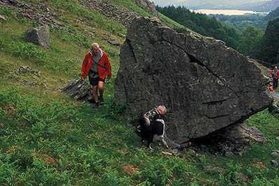 Search and Rescue Dogs Assoc. (Lake District) training session. Search dog trainee Fly, w. handler Mike Hadwin, finds "body" Geoff Faulkner. Location: ENG, Cumbria , Lakes District N.P., Borrowdale Area, Broadstack Gil (NT). [ref. to #259.155]