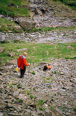 Search and Rescue Dogs Assoc. (Lake District) training session. Handler Mick Guy with search dog Ginnie. Location: ENG, Cumbria , Lakes District N.P., Borrowdale Area, Broadstack Gil (NT). [ref. to #259.161]