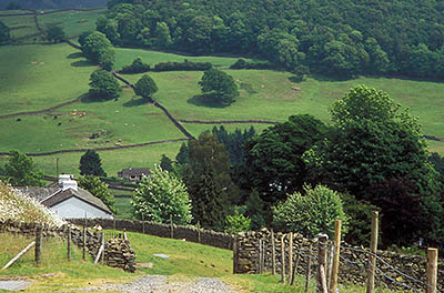 Traditional Cumbrian farm, lane, and dry stone walls in the pastures above the village. Location: ENG, Cumbria , Lakes District N.P., Windermere Area, Staveley. [ref. to #259.192]