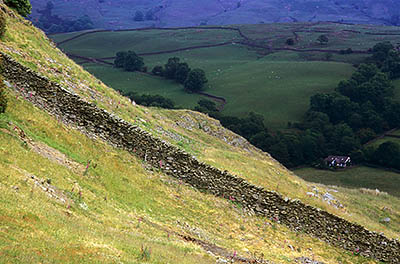 Dry stone wall crosses one of the village's highest pastures at such a steep angle that its courses are diagonal; valley farms seen far below. Location: ENG, Cumbria , Lakes District N.P., Windermere Area, Staveley. [ref. to #259.198]