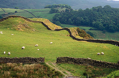 A remote pasture, fenced by traditional dry stone walls, on the top of Reston Scar, viewed from the Black Crag Moors above. Location: ENG, Cumbria , Lakes District N.P., Windermere Area, Staveley. [ref. to #259.201]