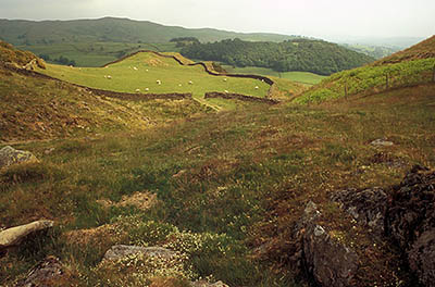 The view from the open access lands on Black Crag Moor include this remote pasture, fenced by traditional dry stone walls, on the top of Reston Scar. Location: ENG, Cumbria , Lakes District N.P., Windermere Area, Staveley. [ref. to #259.203]