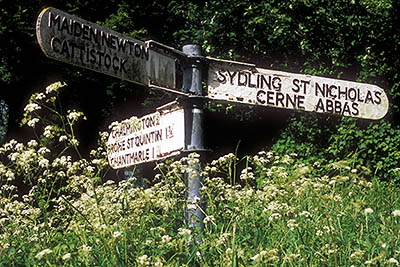 ENG: Dorset , Dorset AONB, Dorchester Area, Cattistock, Cast iron signpost [Ask for #259.534.]