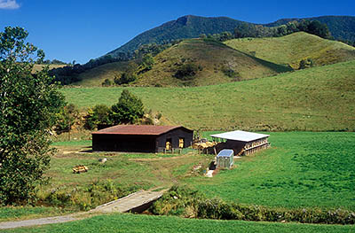 North Carolina: Northern Mountains Region, Ashe County, Jefferson Area, The Three Top Mountains, North Fork New River, Tobacco dries in a barn, in meadows beside the North Fork of the New, with the cliffs of The Peak, in the New Hope Mountains, bkgd [Ask for #260.297.]