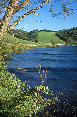 North Carolina: Northern Mountains Region, Ashe County, New River Valley, South Fork of the New River, A road runs along the bank of the river, giving views across the river to a red barn in meadows and pastures [Ask for #260.310.]