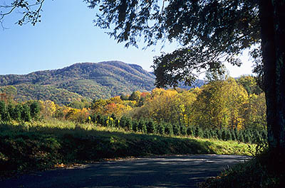 TN: The Northern Mountains Region, Carter County, Upper Doe River Area, Highlands of Roan, Sky Valley, View towards Roan Mountain [Ask for #260.397.]