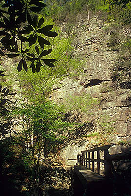 TN: The Northern Mountains Region, Carter County, Cherokee National Forest, Pond Mountain Wilderness, Laurel Fork Area, Footbridge over Laurel Fork, underneath a sheer cliff [Ask for #261.089.]