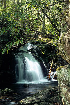 TN: The Northern Mountains Region, Carter County, Cherokee National Forest, Holston Mountain, Blue Hole, Upper waterfall [Ask for #261.102.]